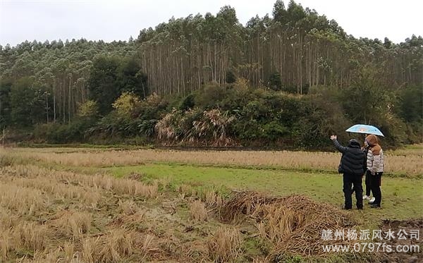 沈阳市陈老师带着爱徒寻龙点穴